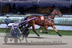 Dateiname=20251026_r08_053_R08_0192.jpg
Dateigröße=271KB
Abmessungen: 1000x667
hinzugefügt am: 29. Oktober 2025 20251026_r08_053_R08_0192.jpg