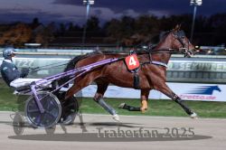 Dateiname=20251026_r08_054_R08_0195.jpg
Dateigröße=280KB
Abmessungen: 1000x667
hinzugefügt am: 29. Oktober 2025 20251026_r08_054_R08_0195.jpg