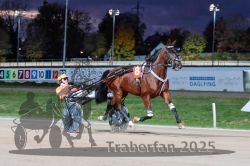 Dateiname=20251026_r08_055_R08_0200.jpg
Dateigröße=276KB
Abmessungen: 1000x667
hinzugefügt am: 29. Oktober 2025 20251026_r08_055_R08_0200.jpg