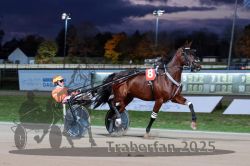 Dateiname=20251026_r08_057_R08_0206.jpg
Dateigröße=250KB
Abmessungen: 1000x667
hinzugefügt am: 29. Oktober 2025 20251026_r08_057_R08_0206.jpg