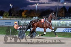 Dateiname=20251026_r08_058_R08_0207.jpg
Dateigröße=259KB
Abmessungen: 1000x667
hinzugefügt am: 29. Oktober 2025 20251026_r08_058_R08_0207.jpg