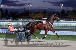 Dateiname=20251026_r08_060_R08_0214.jpg
Dateigröße=272KB
Abmessungen: 1000x667
hinzugefügt am: 29. Oktober 2025 20251026_r08_060_R08_0214.jpg