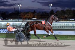 Dateiname=20251026_r08_061_R08_0215.jpg
Dateigröße=257KB
Abmessungen: 1000x667
hinzugefügt am: 29. Oktober 2025 20251026_r08_061_R08_0215.jpg