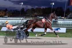 Dateiname=20251026_r08_062_R08_0218.jpg
Dateigröße=273KB
Abmessungen: 1000x667
hinzugefügt am: 29. Oktober 2025 20251026_r08_062_R08_0218.jpg