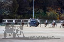 Dateiname=20251026_r08_065_R08_0233.jpg
Dateigröße=274KB
Abmessungen: 1000x667
hinzugefügt am: 29. Oktober 2025 20251026_r08_065_R08_0233.jpg