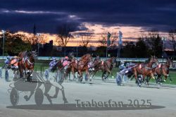 Dateiname=20251026_r08_066_R08_0237.jpg
Dateigröße=297KB
Abmessungen: 1000x667
hinzugefügt am: 29. Oktober 2025 20251026_r08_066_R08_0237.jpg