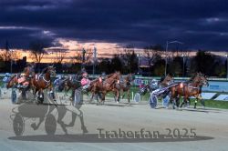 Dateiname=20251026_r08_067_R08_0242.jpg
Dateigröße=282KB
Abmessungen: 1000x667
hinzugefügt am: 29. Oktober 2025 20251026_r08_067_R08_0242.jpg