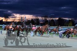 Dateiname=20251026_r08_068_R08_0245.jpg
Dateigröße=270KB
Abmessungen: 1000x667
hinzugefügt am: 29. Oktober 2025 20251026_r08_068_R08_0245.jpg