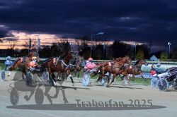 Dateiname=20251026_r08_069_R08_0248.jpg
Dateigröße=267KB
Abmessungen: 1000x667
hinzugefügt am: 29. Oktober 2025 20251026_r08_069_R08_0248.jpg