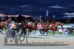 Dateiname=20251026_r08_070_R08_0253.jpg
Dateigröße=268KB
Abmessungen: 1000x667
hinzugefügt am: 29. Oktober 2025 20251026_r08_070_R08_0253.jpg