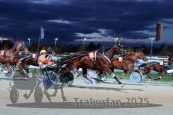 Dateiname=20251026_r08_071_R08_0257.jpg
Dateigröße=269KB
Abmessungen: 1000x667
hinzugefügt am: 29. Oktober 2025 20251026_r08_071_R08_0257.jpg