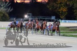 Dateiname=20251026_r08_076_R08_0270.jpg
Dateigröße=292KB
Abmessungen: 1000x667
hinzugefügt am: 29. Oktober 2025 20251026_r08_076_R08_0270.jpg