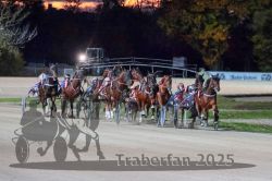 Dateiname=20251026_r08_077_R08_0273.jpg
Dateigröße=292KB
Abmessungen: 1000x667
hinzugefügt am: 29. Oktober 2025 20251026_r08_077_R08_0273.jpg