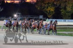 Dateiname=20251026_r08_078_R08_0276.jpg
Dateigröße=296KB
Abmessungen: 1000x667
hinzugefügt am: 29. Oktober 2025 20251026_r08_078_R08_0276.jpg