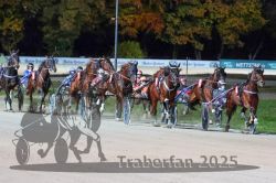 Dateiname=20251026_r08_080_R08_0284.jpg
Dateigröße=325KB
Abmessungen: 1000x667
hinzugefügt am: 29. Oktober 2025 20251026_r08_080_R08_0284.jpg