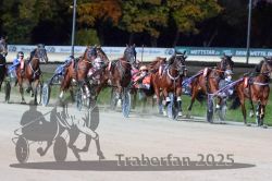 Dateiname=20251026_r08_081_R08_0289.jpg
Dateigröße=310KB
Abmessungen: 1000x667
hinzugefügt am: 29. Oktober 2025 20251026_r08_081_R08_0289.jpg