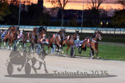 Dateiname=20251026_r08_082_R08_0298.jpg
Dateigröße=309KB
Abmessungen: 1000x667
hinzugefügt am: 29. Oktober 2025 20251026_r08_082_R08_0298.jpg