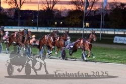 Dateiname=20251026_r08_084_R08_0304.jpg
Dateigröße=316KB
Abmessungen: 1000x667
hinzugefügt am: 29. Oktober 2025 20251026_r08_084_R08_0304.jpg