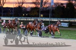 Dateiname=20251026_r08_085_R08_0307.jpg
Dateigröße=318KB
Abmessungen: 1000x667
hinzugefügt am: 29. Oktober 2025 20251026_r08_085_R08_0307.jpg