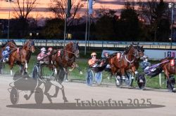 Dateiname=20251026_r08_086_R08_0314.jpg
Dateigröße=330KB
Abmessungen: 1000x667
hinzugefügt am: 29. Oktober 2025 20251026_r08_086_R08_0314.jpg