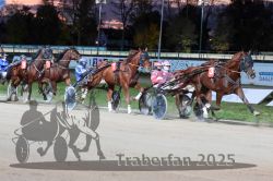 Dateiname=20251026_r08_087_R08_0321.jpg
Dateigröße=305KB
Abmessungen: 1000x667
hinzugefügt am: 29. Oktober 2025 20251026_r08_087_R08_0321.jpg