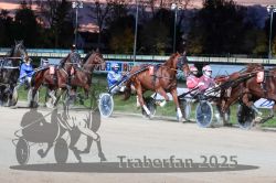 Dateiname=20251026_r08_088_R08_0324.jpg
Dateigröße=317KB
Abmessungen: 1000x667
hinzugefügt am: 29. Oktober 2025 20251026_r08_088_R08_0324.jpg