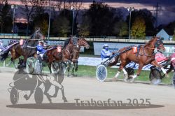 Dateiname=20251026_r08_089_R08_0329.jpg
Dateigröße=323KB
Abmessungen: 1000x667
hinzugefügt am: 29. Oktober 2025 20251026_r08_089_R08_0329.jpg