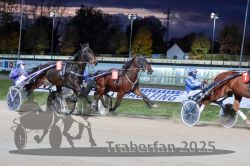 Dateiname=20251026_r08_090_R08_0333.jpg
Dateigröße=312KB
Abmessungen: 1000x667
hinzugefügt am: 29. Oktober 2025 20251026_r08_090_R08_0333.jpg