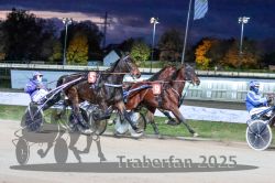 Dateiname=20251026_r08_091_R08_0337.jpg
Dateigröße=323KB
Abmessungen: 1000x667
hinzugefügt am: 29. Oktober 2025 20251026_r08_091_R08_0337.jpg