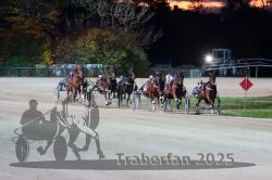 Dateiname=20251026_r08_092_R08_0340.jpg
Dateigröße=264KB
Abmessungen: 1000x667
hinzugefügt am: 29. Oktober 2025 20251026_r08_092_R08_0340.jpg