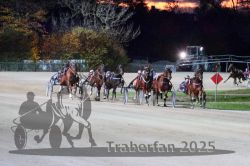 Dateiname=20251026_r08_093_R08_0344.jpg
Dateigröße=291KB
Abmessungen: 1000x667
hinzugefügt am: 29. Oktober 2025 20251026_r08_093_R08_0344.jpg