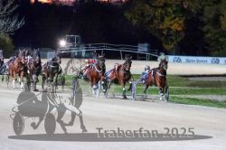 Dateiname=20251026_r08_094_R08_0350.jpg
Dateigröße=284KB
Abmessungen: 1000x667
hinzugefügt am: 29. Oktober 2025 20251026_r08_094_R08_0350.jpg