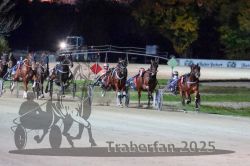 Dateiname=20251026_r08_095_R08_0354.jpg
Dateigröße=278KB
Abmessungen: 1000x667
hinzugefügt am: 29. Oktober 2025 20251026_r08_095_R08_0354.jpg