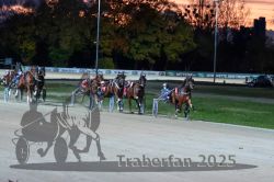 Dateiname=20251026_r08_097_R08_0365.jpg
Dateigröße=284KB
Abmessungen: 1000x667
hinzugefügt am: 29. Oktober 2025 20251026_r08_097_R08_0365.jpg