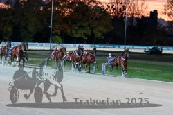 Dateiname=20251026_r08_098_R08_0369.jpg
Dateigröße=283KB
Abmessungen: 1000x667
hinzugefügt am: 29. Oktober 2025 20251026_r08_098_R08_0369.jpg