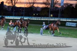 Dateiname=20251026_r08_100_R08_0377.jpg
Dateigröße=293KB
Abmessungen: 1000x667
hinzugefügt am: 29. Oktober 2025 20251026_r08_100_R08_0377.jpg