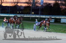 Dateiname=20251026_r08_101_R08_0380.jpg
Dateigröße=296KB
Abmessungen: 1000x667
hinzugefügt am: 29. Oktober 2025 20251026_r08_101_R08_0380.jpg