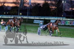 Dateiname=20251026_r08_102_R08_0384.jpg
Dateigröße=299KB
Abmessungen: 1000x667
hinzugefügt am: 29. Oktober 2025 20251026_r08_102_R08_0384.jpg