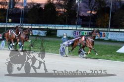 Dateiname=20251026_r08_103_R08_0387.jpg
Dateigröße=297KB
Abmessungen: 1000x667
hinzugefügt am: 29. Oktober 2025 20251026_r08_103_R08_0387.jpg