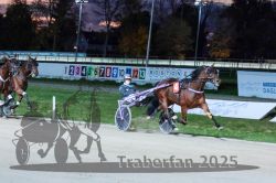 Dateiname=20251026_r08_104_R08_0391.jpg
Dateigröße=291KB
Abmessungen: 1000x667
hinzugefügt am: 29. Oktober 2025 20251026_r08_104_R08_0391.jpg