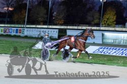 Dateiname=20251026_r08_105_R08_0394.jpg
Dateigröße=293KB
Abmessungen: 1000x667
hinzugefügt am: 29. Oktober 2025 20251026_r08_105_R08_0394.jpg