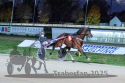 Dateiname=20251026_r08_106_R08_0395.jpg
Dateigröße=297KB
Abmessungen: 1000x667
hinzugefügt am: 29. Oktober 2025 20251026_r08_106_R08_0395.jpg