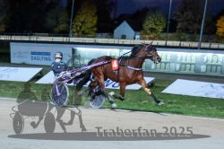 Dateiname=20251026_r08_107_R08_0398.jpg
Dateigröße=272KB
Abmessungen: 1000x667
hinzugefügt am: 29. Oktober 2025 20251026_r08_107_R08_0398.jpg