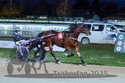 Dateiname=20251026_r08_110_R08_0406.jpg
Dateigröße=276KB
Abmessungen: 1000x667
hinzugefügt am: 29. Oktober 2025 20251026_r08_110_R08_0406.jpg