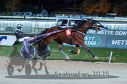 Dateiname=20251026_r08_112_R08_0409.jpg
Dateigröße=275KB
Abmessungen: 1000x667
hinzugefügt am: 29. Oktober 2025 20251026_r08_112_R08_0409.jpg