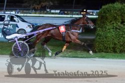 Dateiname=20251026_r08_114_R08_0415.jpg
Dateigröße=281KB
Abmessungen: 1000x667
hinzugefügt am: 29. Oktober 2025 20251026_r08_114_R08_0415.jpg