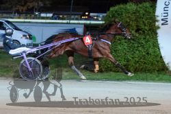 Dateiname=20251026_r08_115_R08_0416.jpg
Dateigröße=289KB
Abmessungen: 1000x667
hinzugefügt am: 29. Oktober 2025 20251026_r08_115_R08_0416.jpg