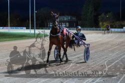 Dateiname=20251026_r08_129_R08_0479.jpg
Dateigröße=293KB
Abmessungen: 1000x667
hinzugefügt am: 29. Oktober 2025 20251026_r08_129_R08_0479.jpg