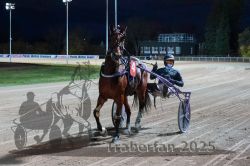 Dateiname=20251026_r08_131_R08_0485.jpg
Dateigröße=296KB
Abmessungen: 1000x667
hinzugefügt am: 29. Oktober 2025 20251026_r08_131_R08_0485.jpg