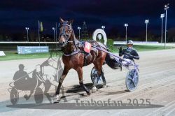 Dateiname=20251026_r08_137_R08_0502.jpg
Dateigröße=287KB
Abmessungen: 1000x667
hinzugefügt am: 29. Oktober 2025 20251026_r08_137_R08_0502.jpg